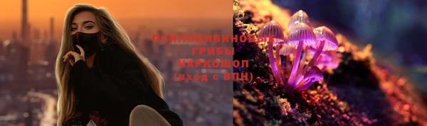a pvp Ростов