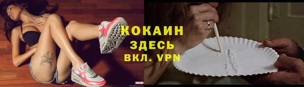 прущие грибы Нея