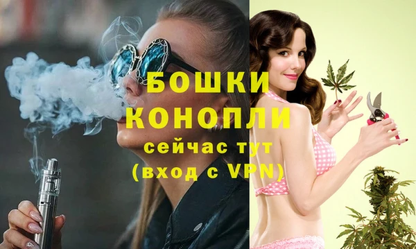 ГАЛЛЮЦИНОГЕННЫЕ ГРИБЫ Липки