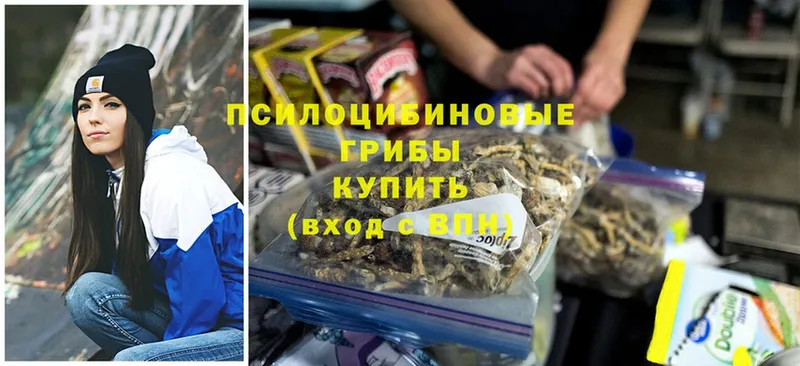 магазин продажи   Касли  Псилоцибиновые грибы MAGIC MUSHROOMS 